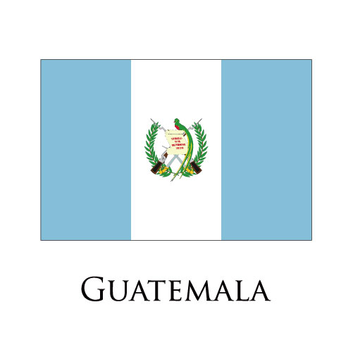 Guatemala flag logo cricut iron on